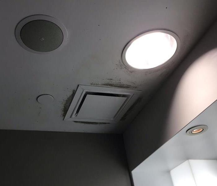 white ceiling with mold around air vent