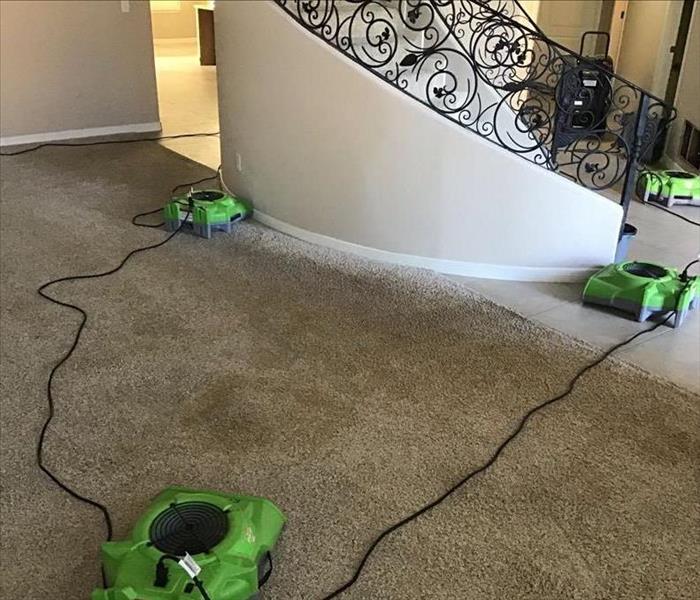 Fans Drawing Out Moisture from Underneath Carpet in Living Room