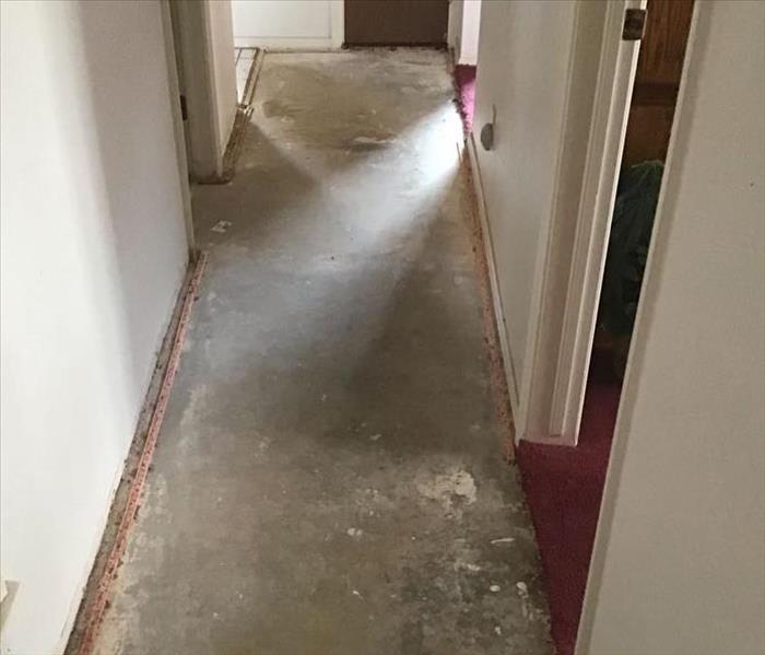 carpet removed post mitigation 