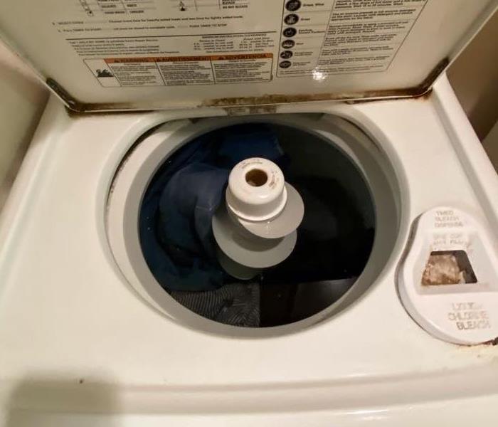 Cause of loss: washing machine