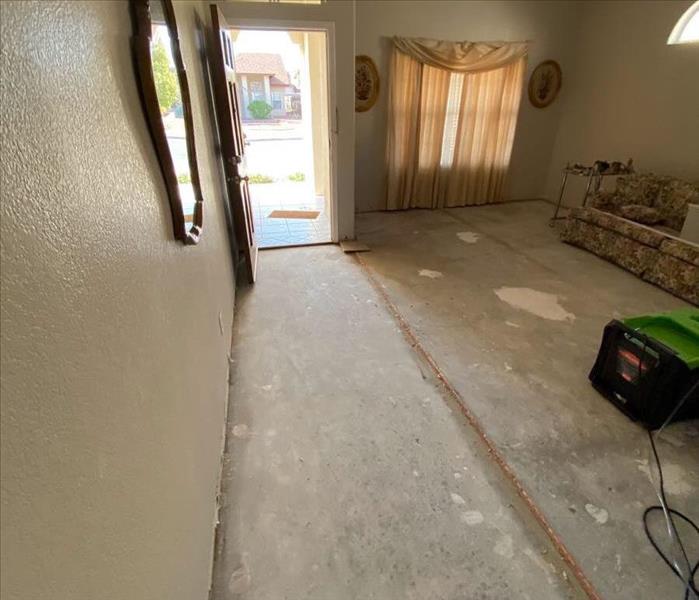 foyer and living room with wood flooring and carpet removed 