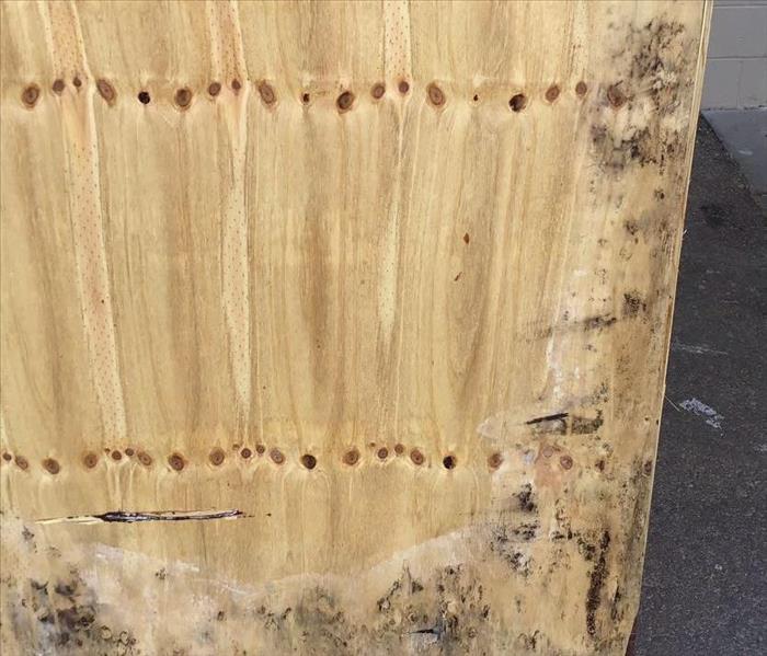 Mold Damage on Wooden Crate 