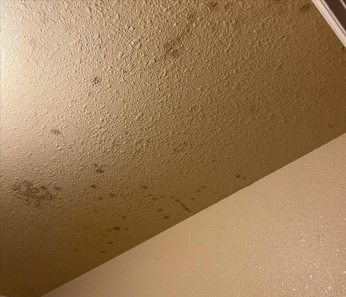 mold present on ceiling and walls in home 