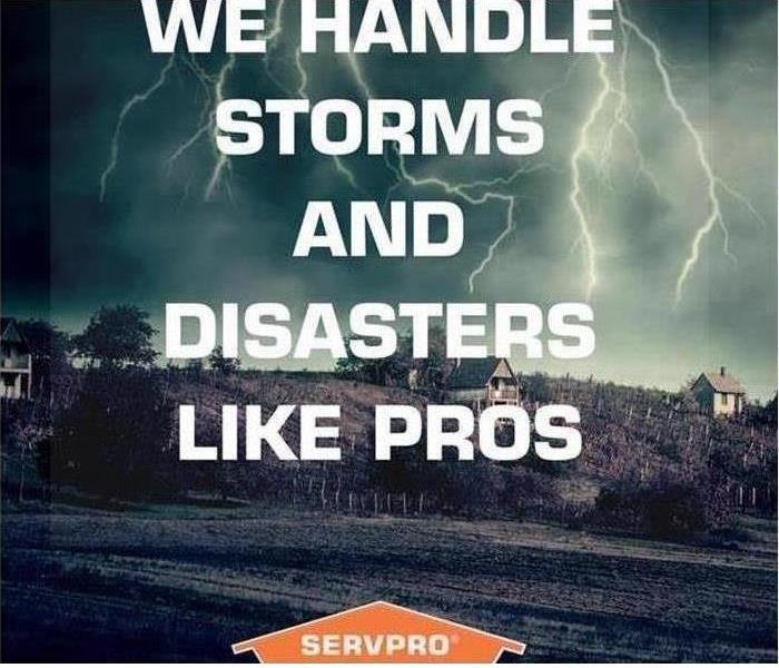 storm background with text that says "we handle storms and disasters like pros"