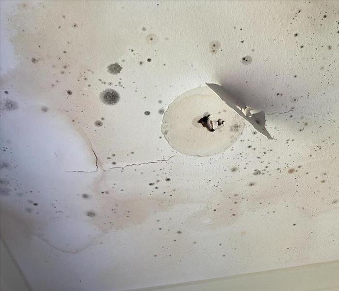 Visible staining on ceiling after water damage